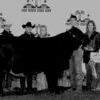 Lance Low, Alto High School junior, and his heifer, Fritzi's Promise win the 2007 Grand Champion Beefmaster category at the Fort Worth Livestock Show. From left are John Griffith, FFA advisor; Doug Husfeld, judge; Loren and Lindsey Gilmore, breeders; Lance and his parents, Paula and Randy Low.