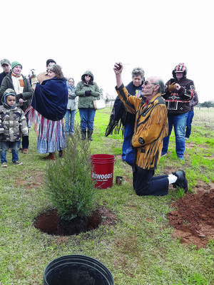Photo by Cristin Parker
Cherokee Nation representatives Ron (kneeling) and Emma Blackfield (shown with back turned) perform a Cherokee blessing on the site of the newly planted cedar tree, which symbolizes the regrowth and rejuvenation of the Caddo Mounds State Historic Site. Caddoan Elder Marilyn Threlkel (pictured behind Ron Blackfield) and others look on.