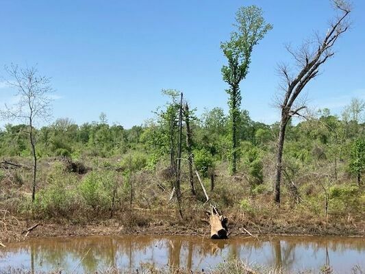 The countryside outside the city of Alto still shows visible destruction from the tornado that passed through two years ago, with new growth alongside small numbers of trees that escaped the destructive storm’s path.

Photo by John Hawkins