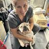 Lead surgical tech JoAnna Beltran greets Daisy the Bulldog, the first patient using the vouchers provide through the No Strays Project. 

Courtesy photo