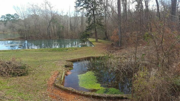 Courtesy photo
Just one of the natural springs at Caddo Mounds State Historic Site near Alto.