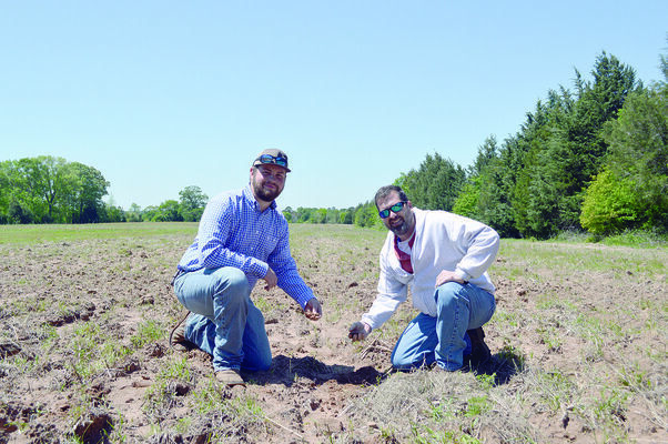 Tanner (left) has spent many hours replanting and restoring an unused field to quality grazing land for his cattle.  NRCS District Conservationist Jeff Brister (right) advises on the best grass type for the location and recommended grazing limits.